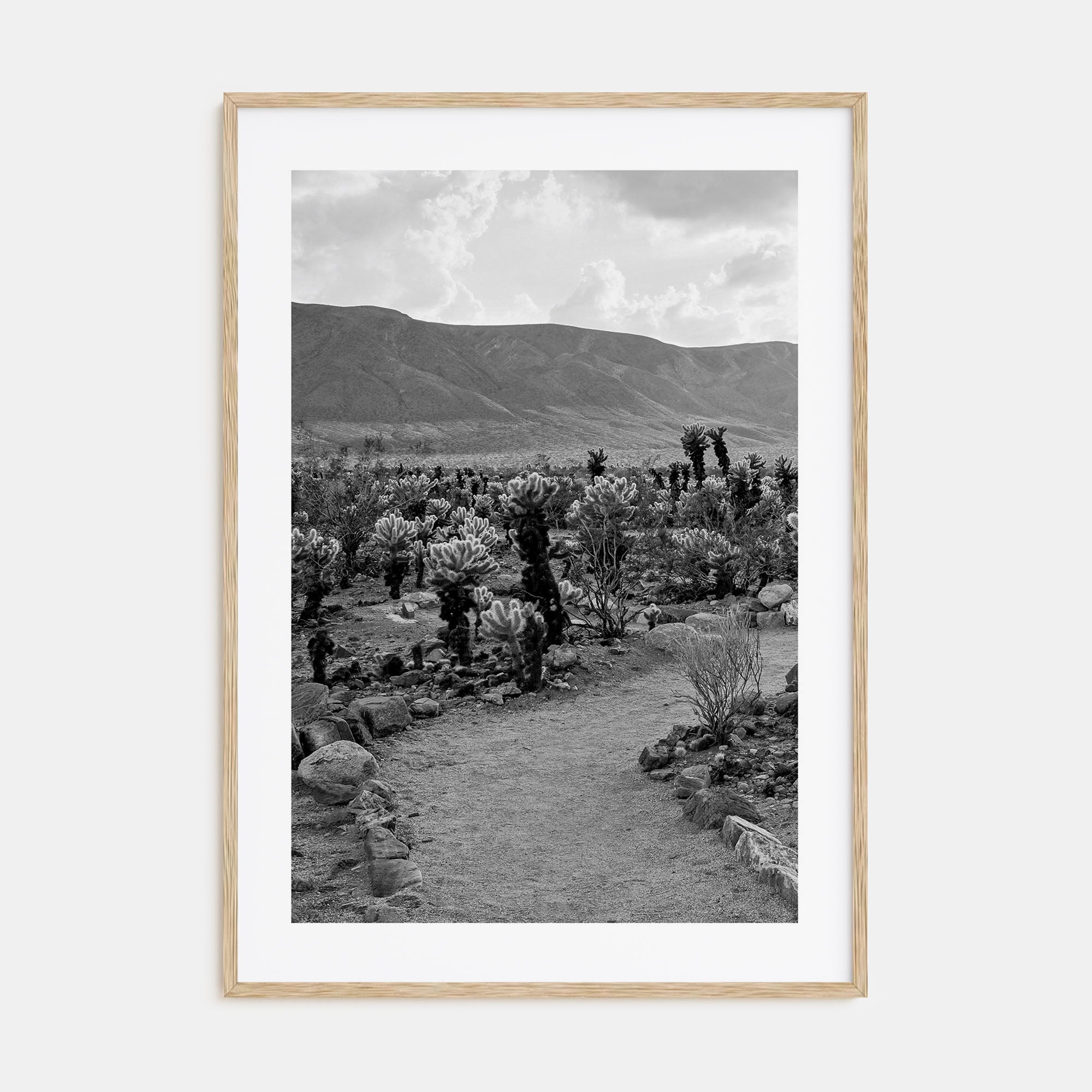 Joshua Tree National Park Photo B&W No 1 Poster