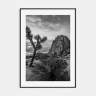 Joshua Tree National Park Photo B&W No 2 Poster