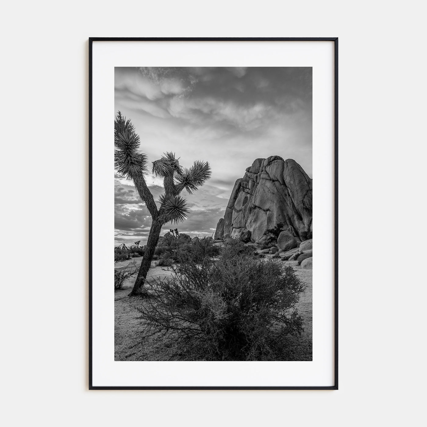 Joshua Tree National Park Photo B&W No 2 Poster