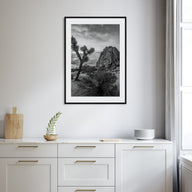 Joshua Tree National Park Photo B&W No 2 Poster