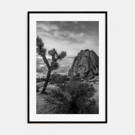Joshua Tree National Park Photo B&W No 2 Poster