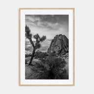 Joshua Tree National Park Photo B&W No 2 Poster