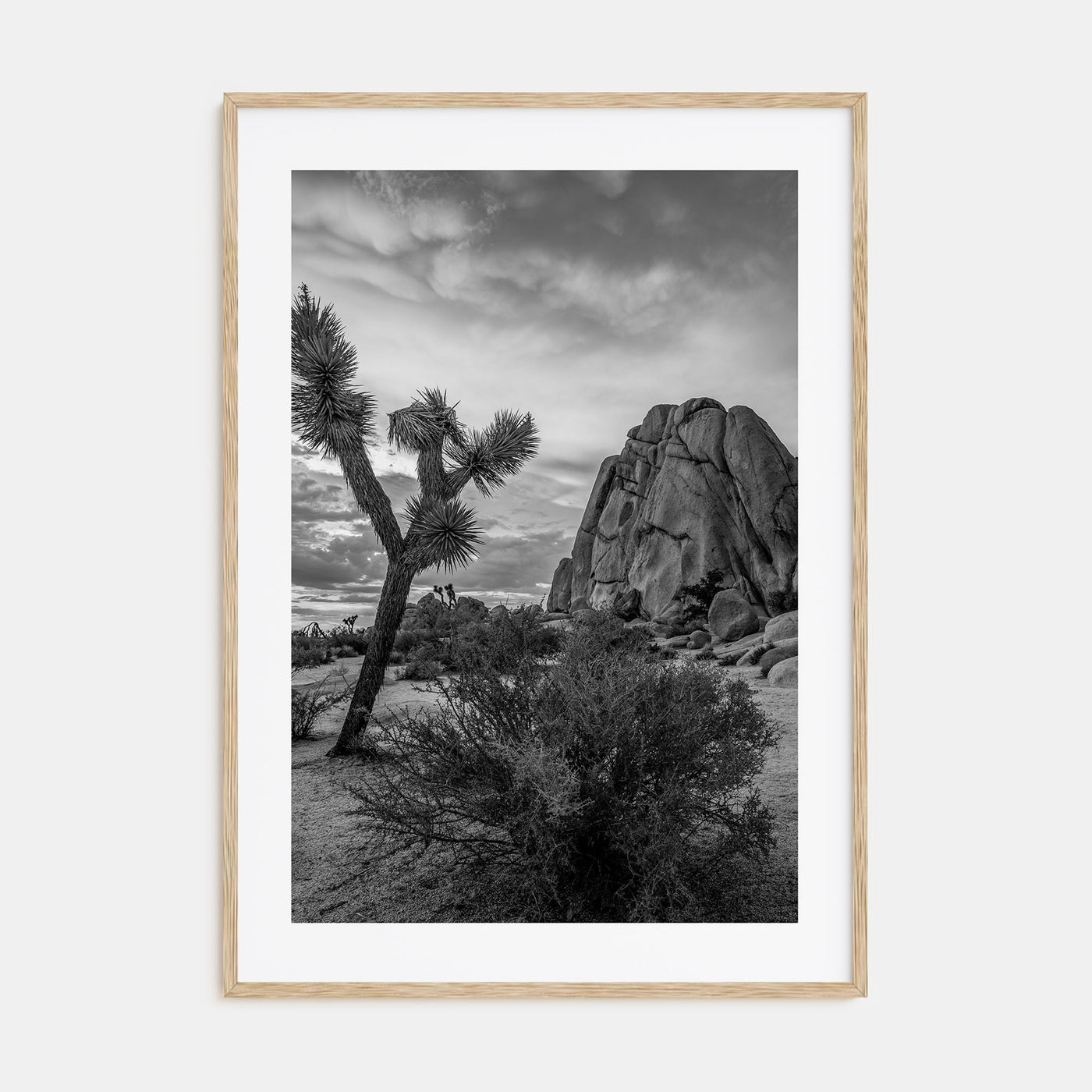 Joshua Tree National Park Photo B&W No 2 Poster