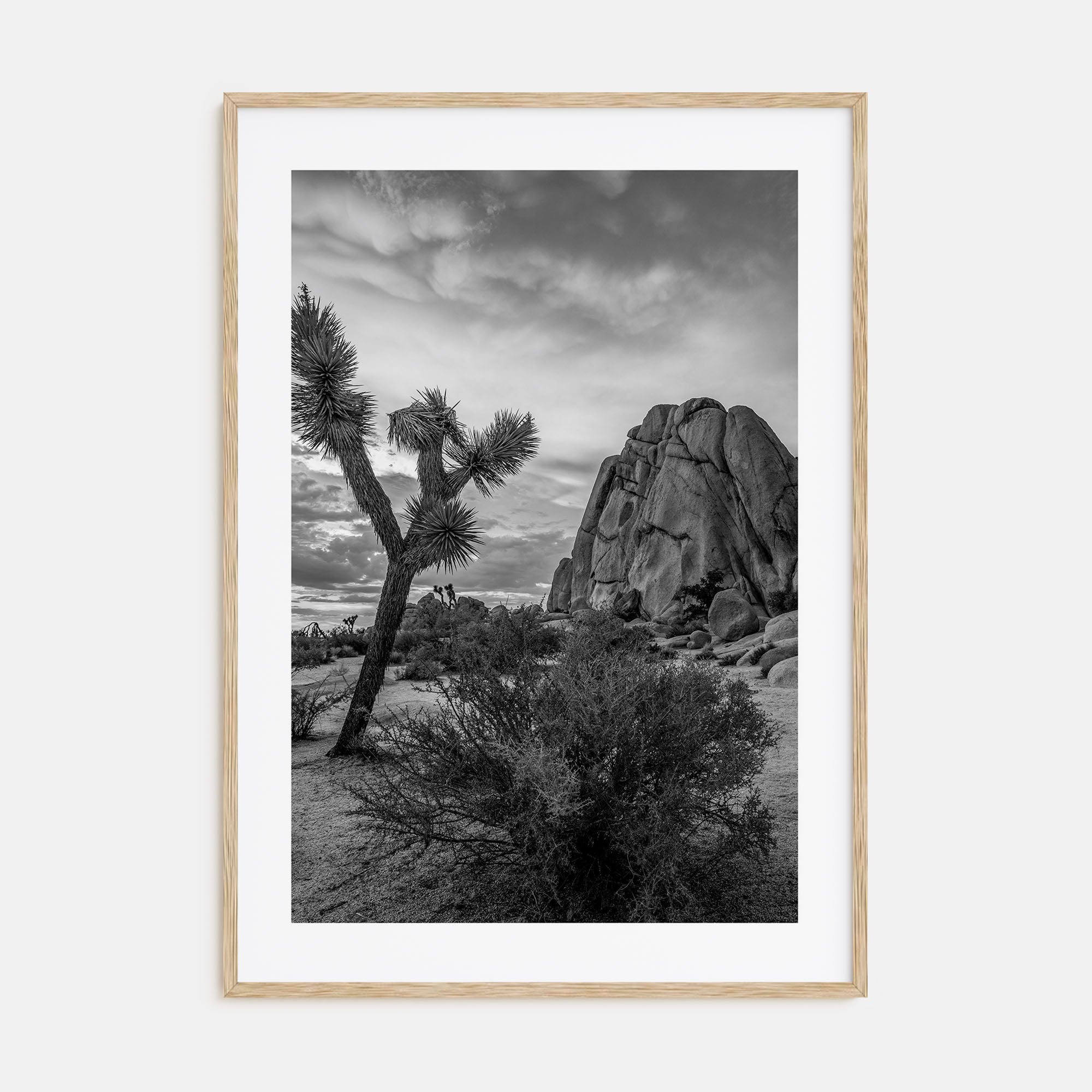 Joshua Tree National Park Photo B&W No 2 Poster