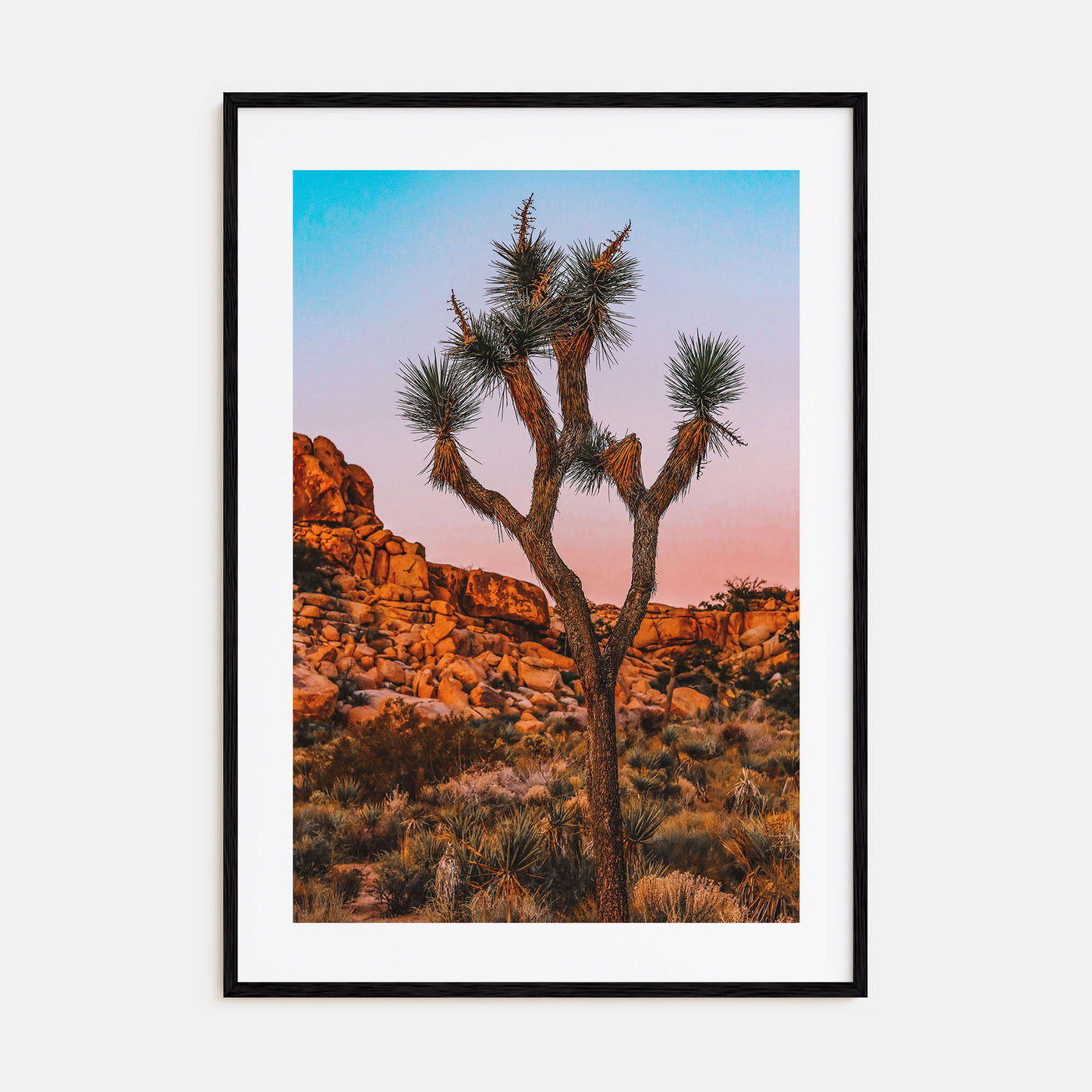 Joshua Tree National Park Photo Color No 1 Poster