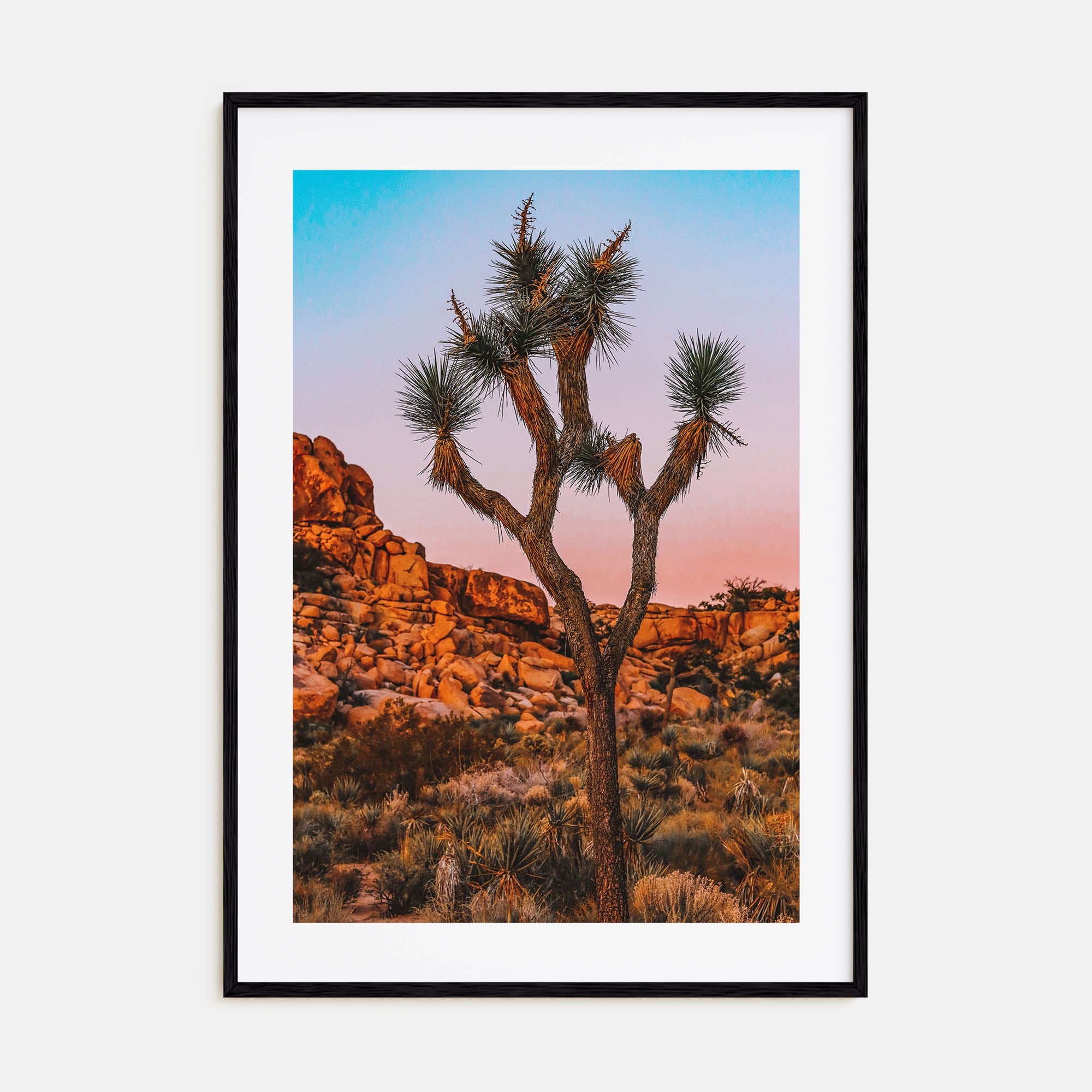 Joshua Tree National Park Photo Color No 1 Poster
