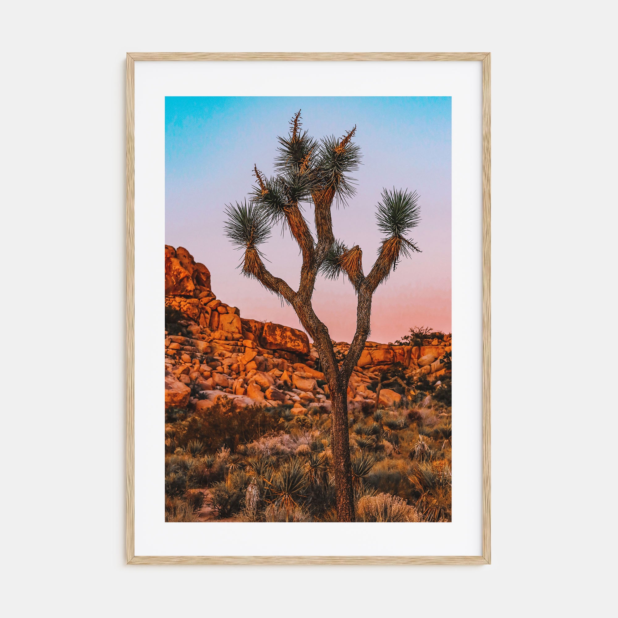 Joshua Tree National Park Photo Color No 1 Poster