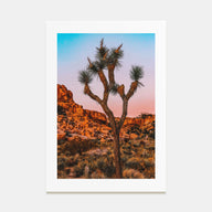 Joshua Tree National Park Photo Color No 1 Poster