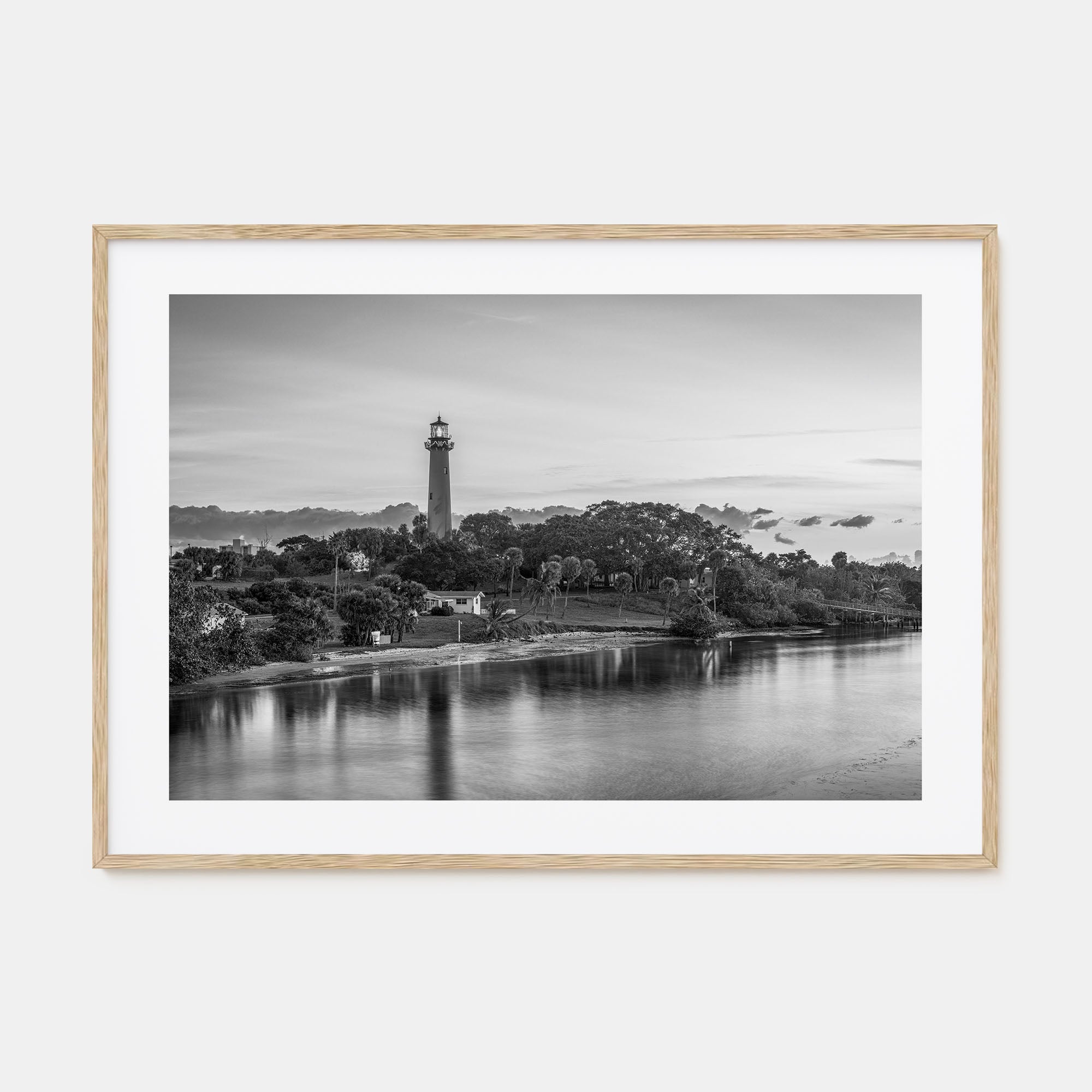 Jupiter Landscape B&W Poster