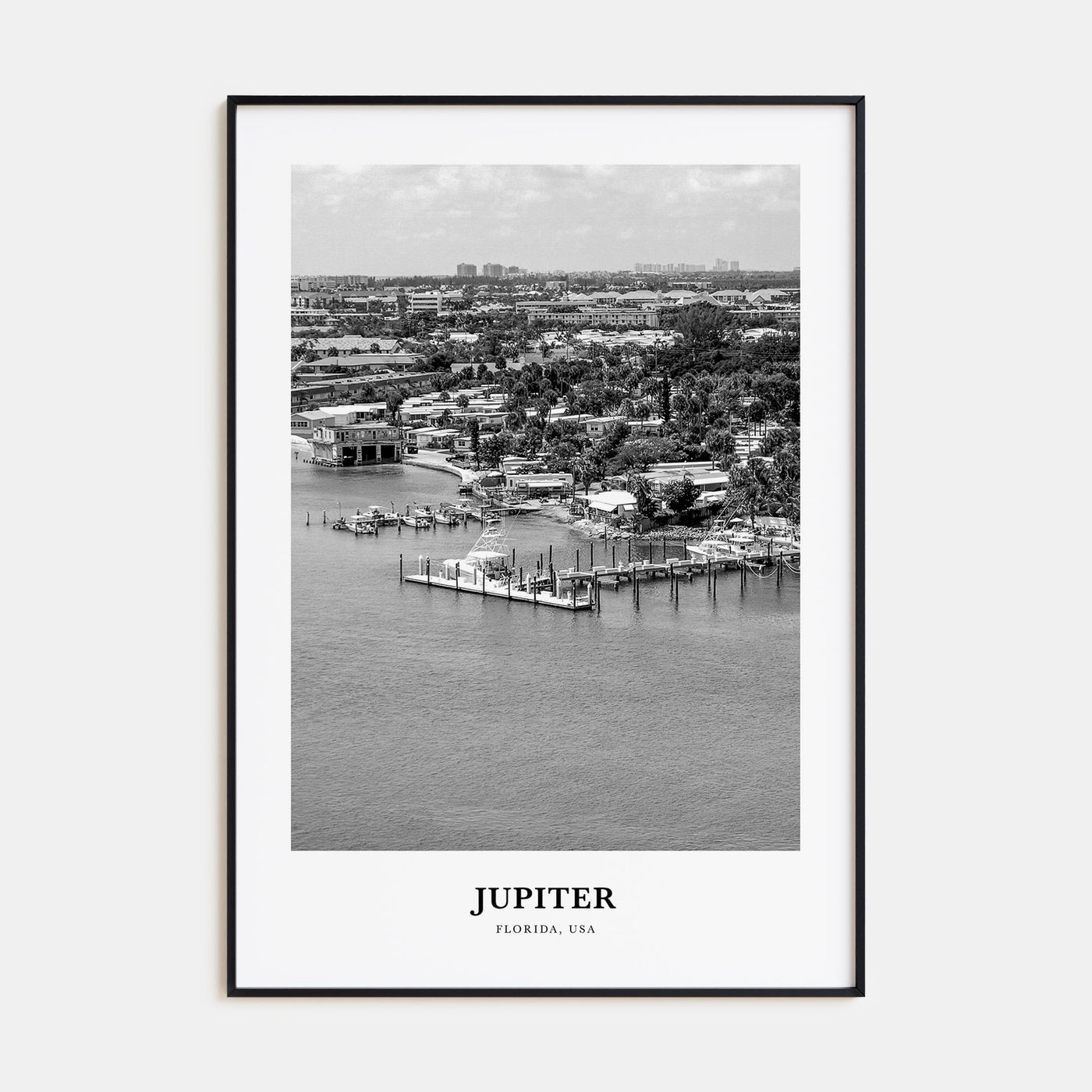 Jupiter Portrait B&W Poster