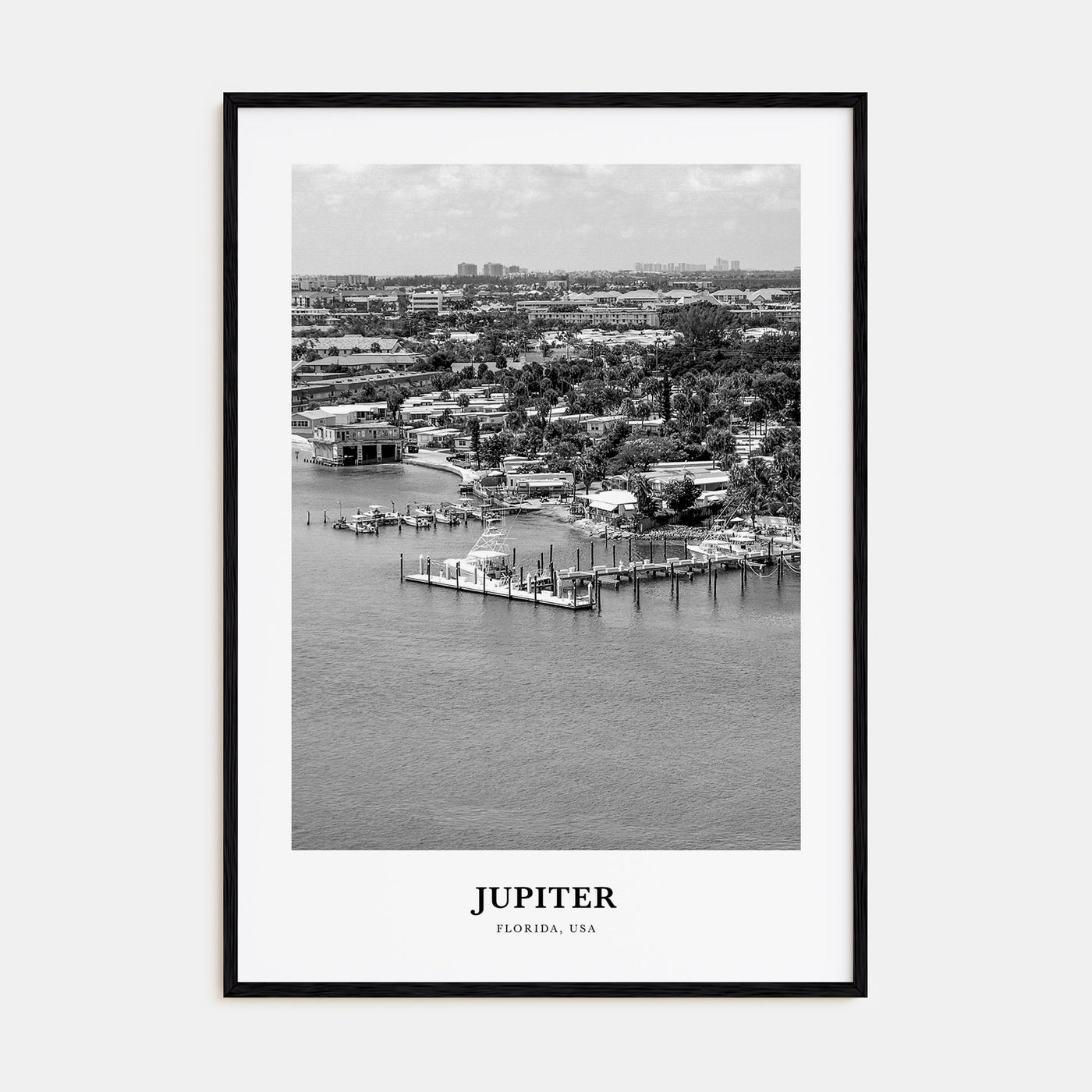 Jupiter Portrait B&W Poster