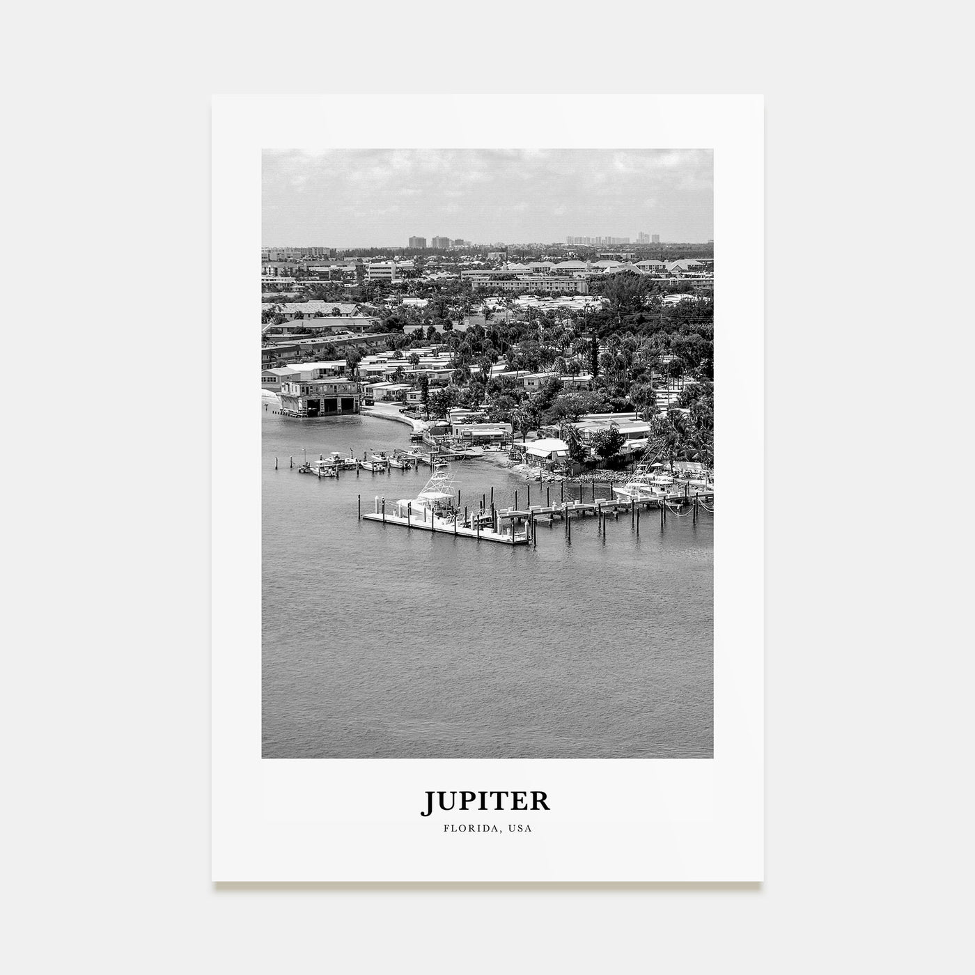 Jupiter Portrait B&W Poster