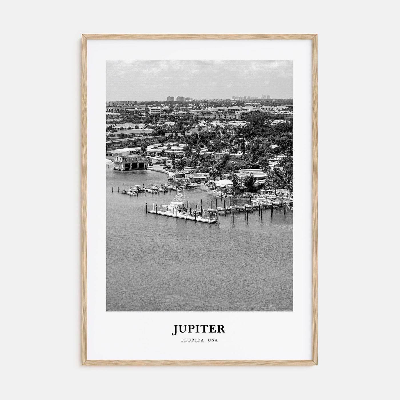 Jupiter Portrait B&W Poster