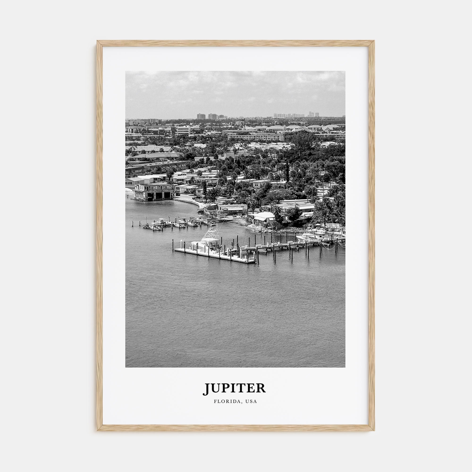 Jupiter Portrait B&W Poster
