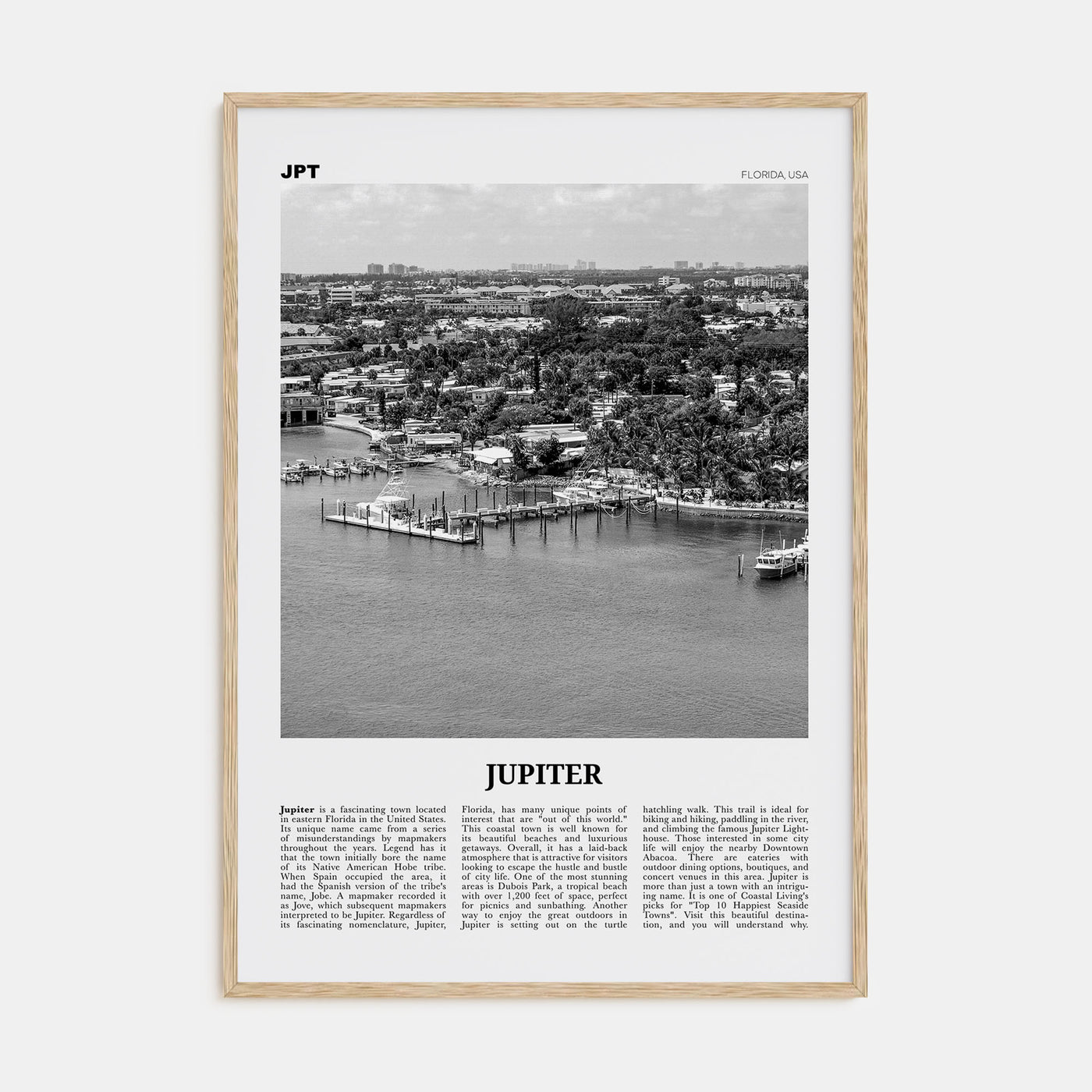 Jupiter Travel B&W Poster
