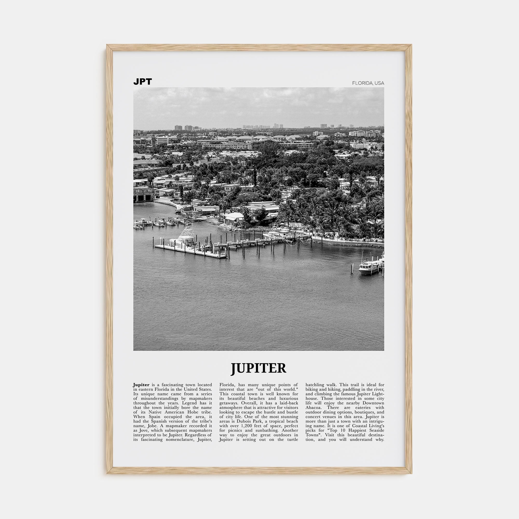 Jupiter Travel B&W Poster