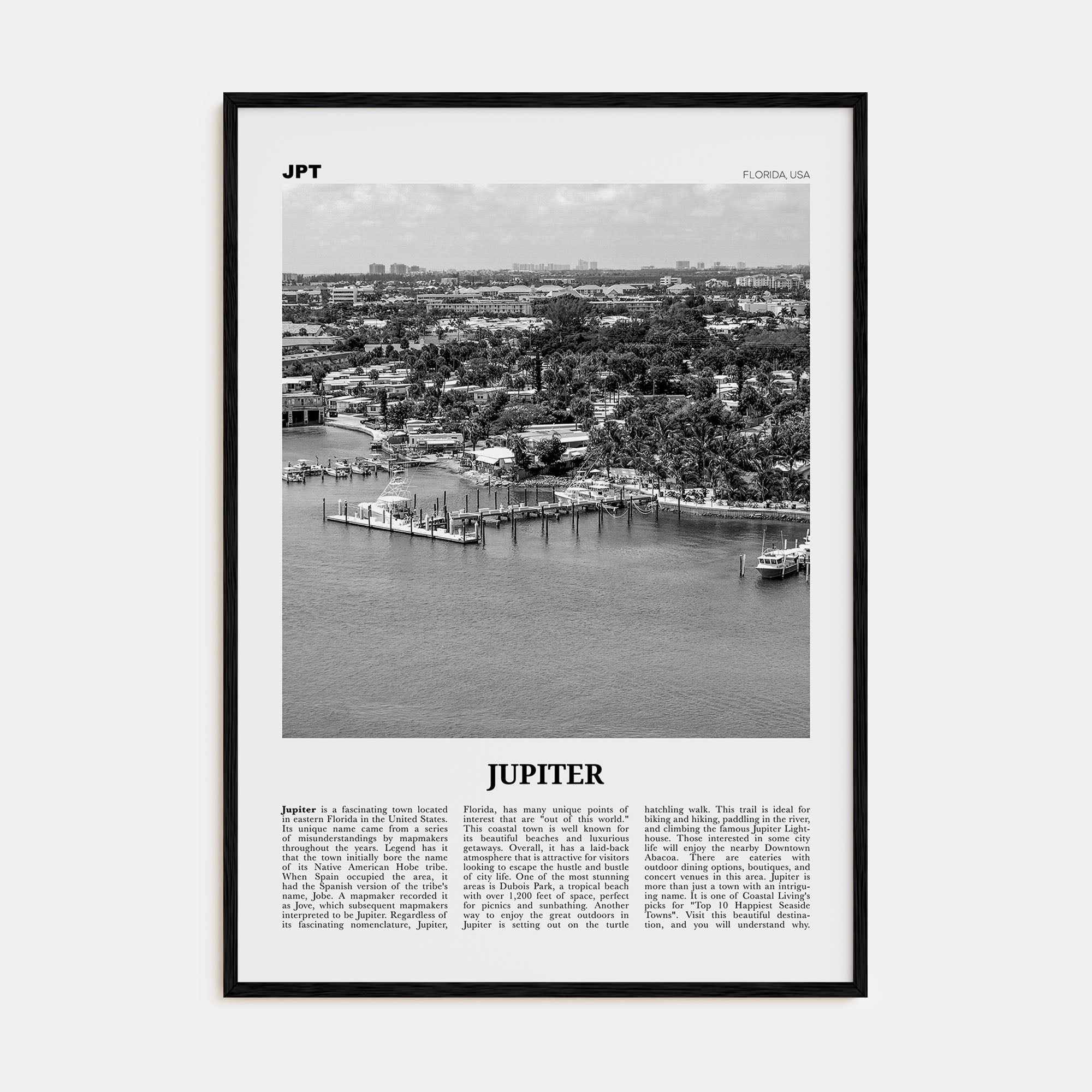 Jupiter Travel B&W Poster