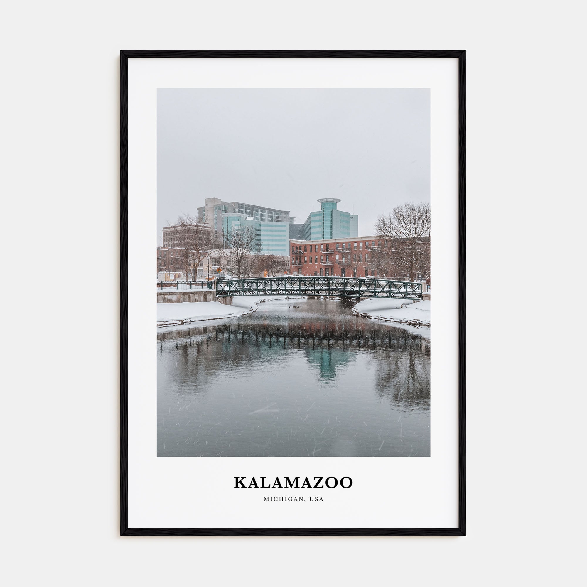 Kalamazoo Portrait Color Poster