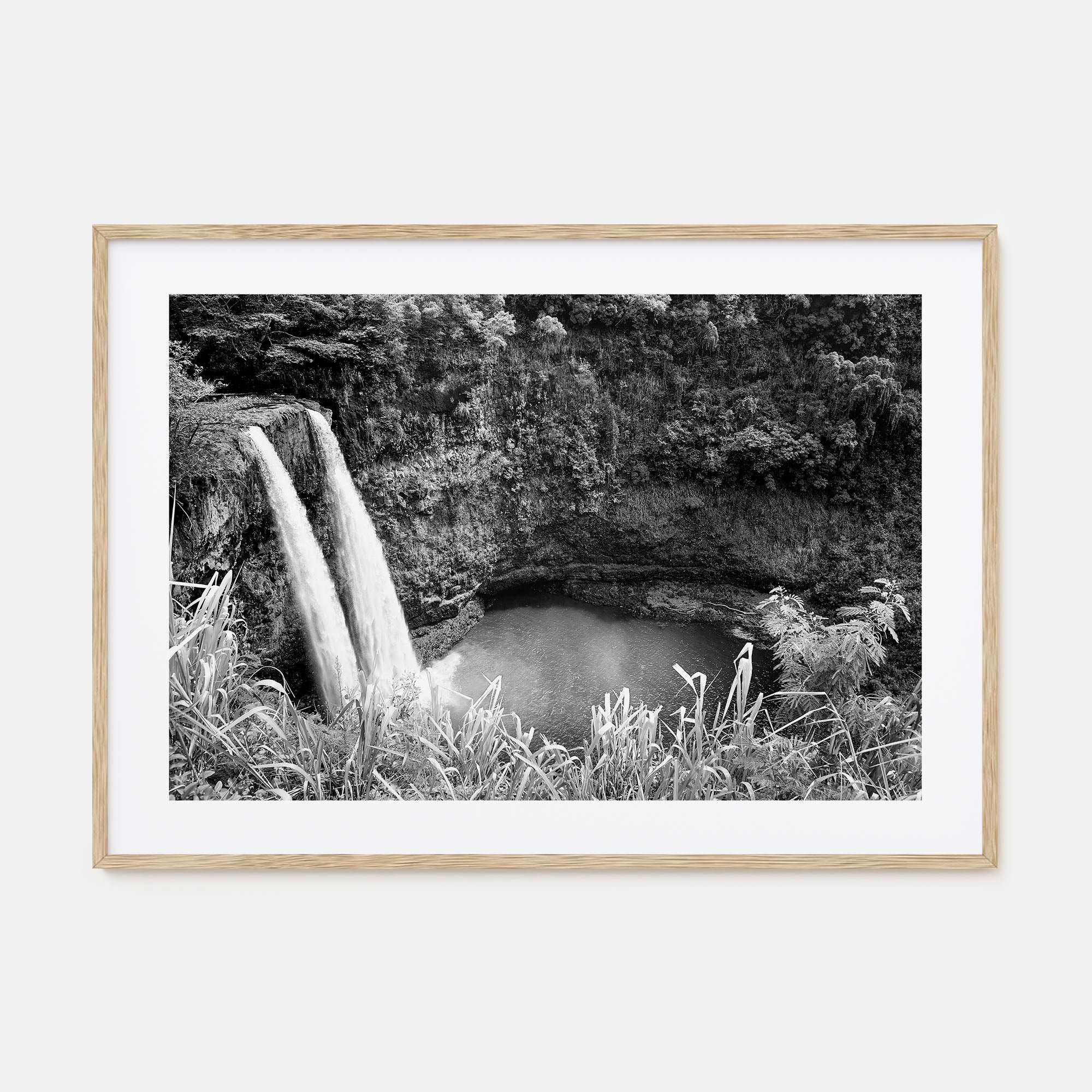 Kauai Landscape B&W Poster