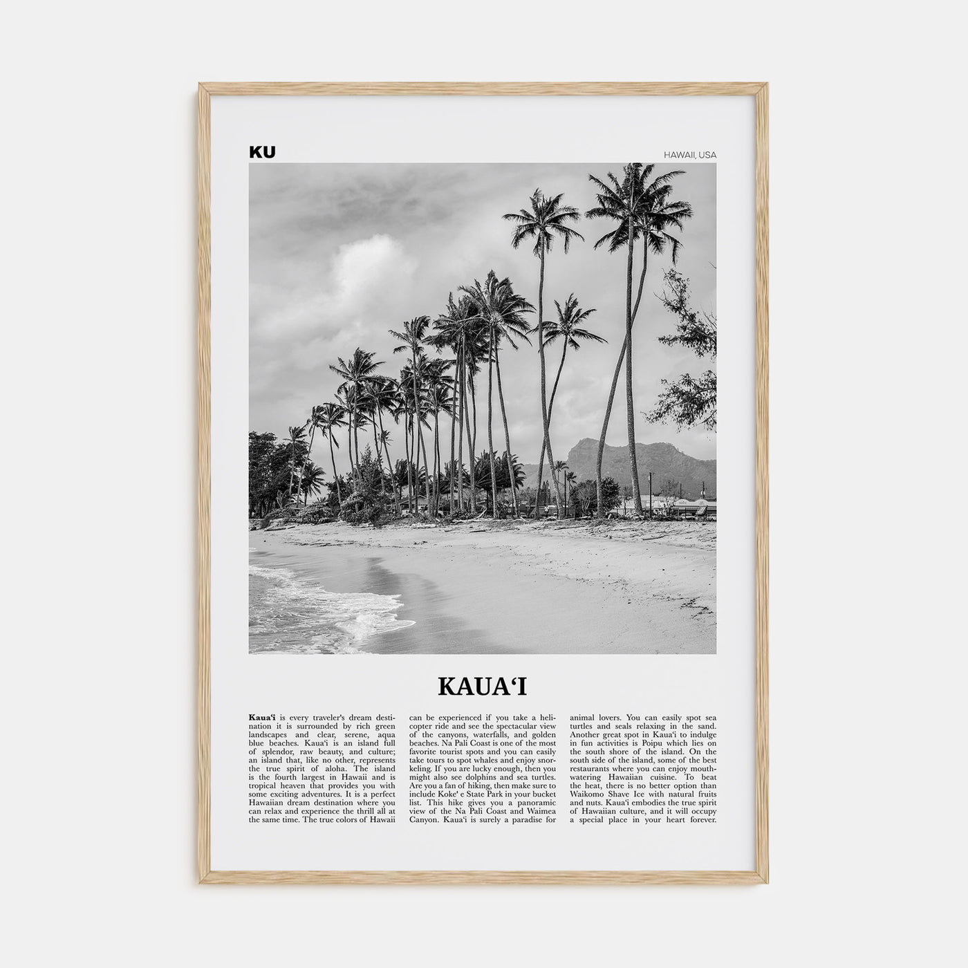 Kauai Travel B&W No 2 Poster