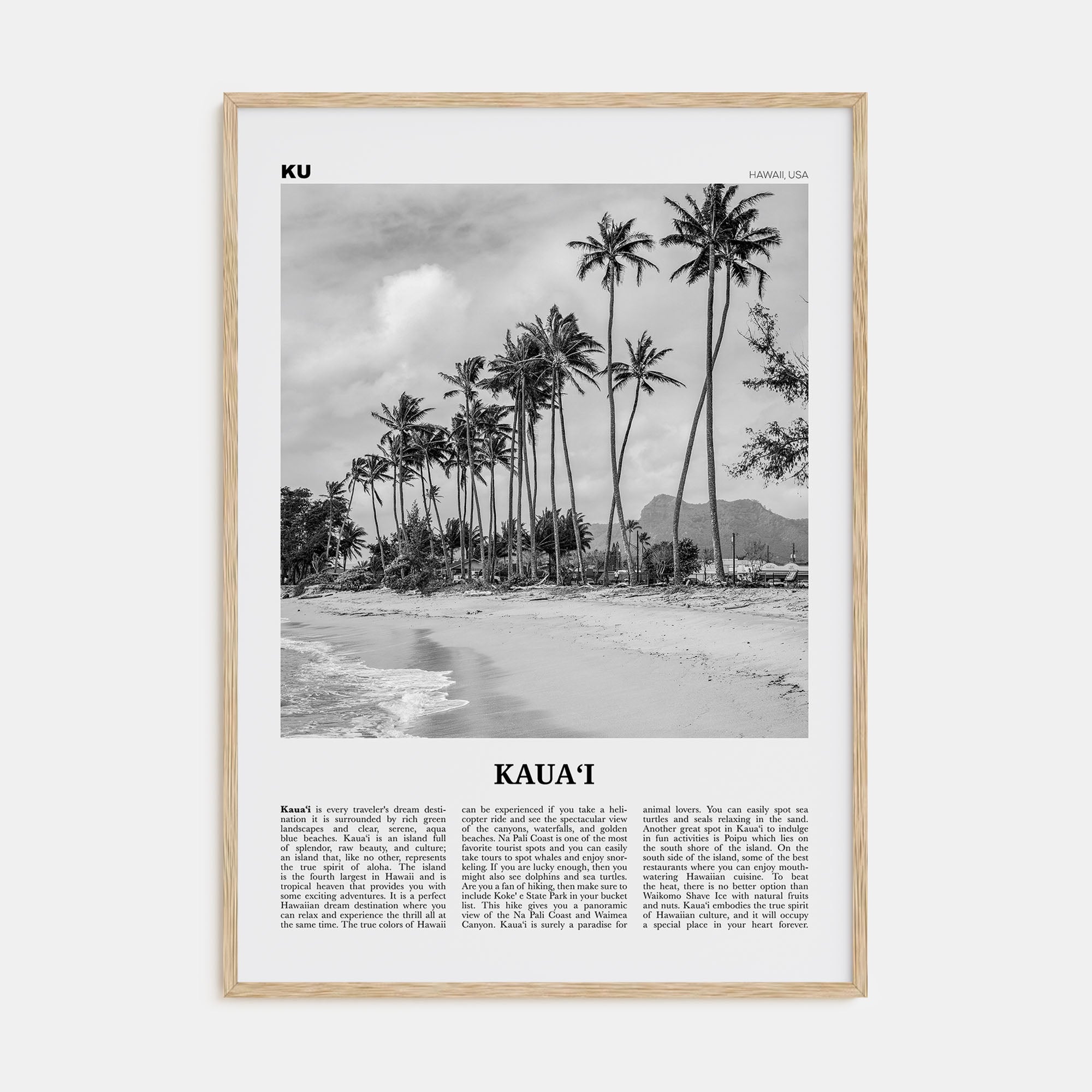 Kauai Travel B&W No 2 Poster