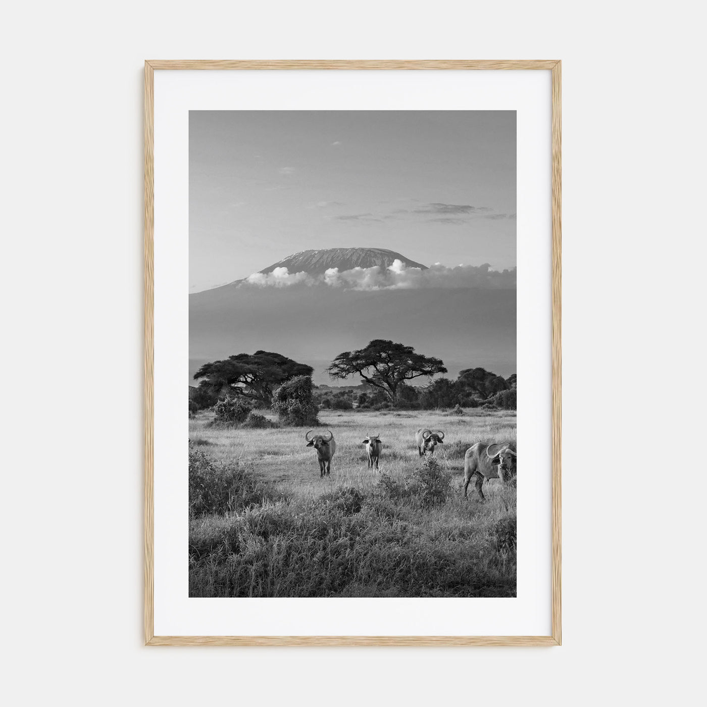 Kenya Photo B&W Poster