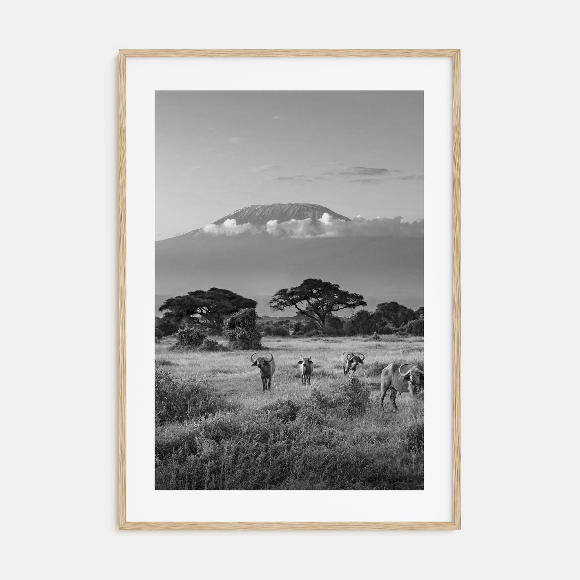 Kenya Photo B&W Poster