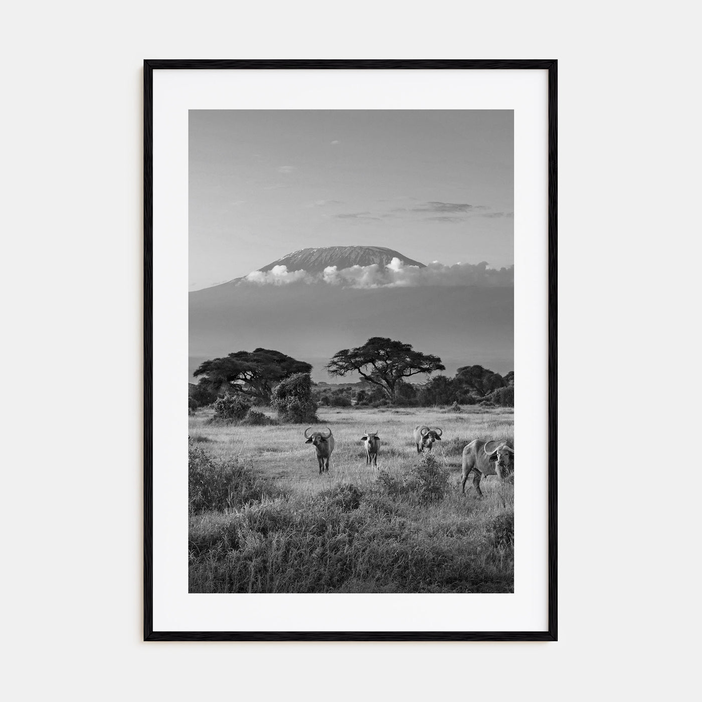 Kenya Photo B&W Poster