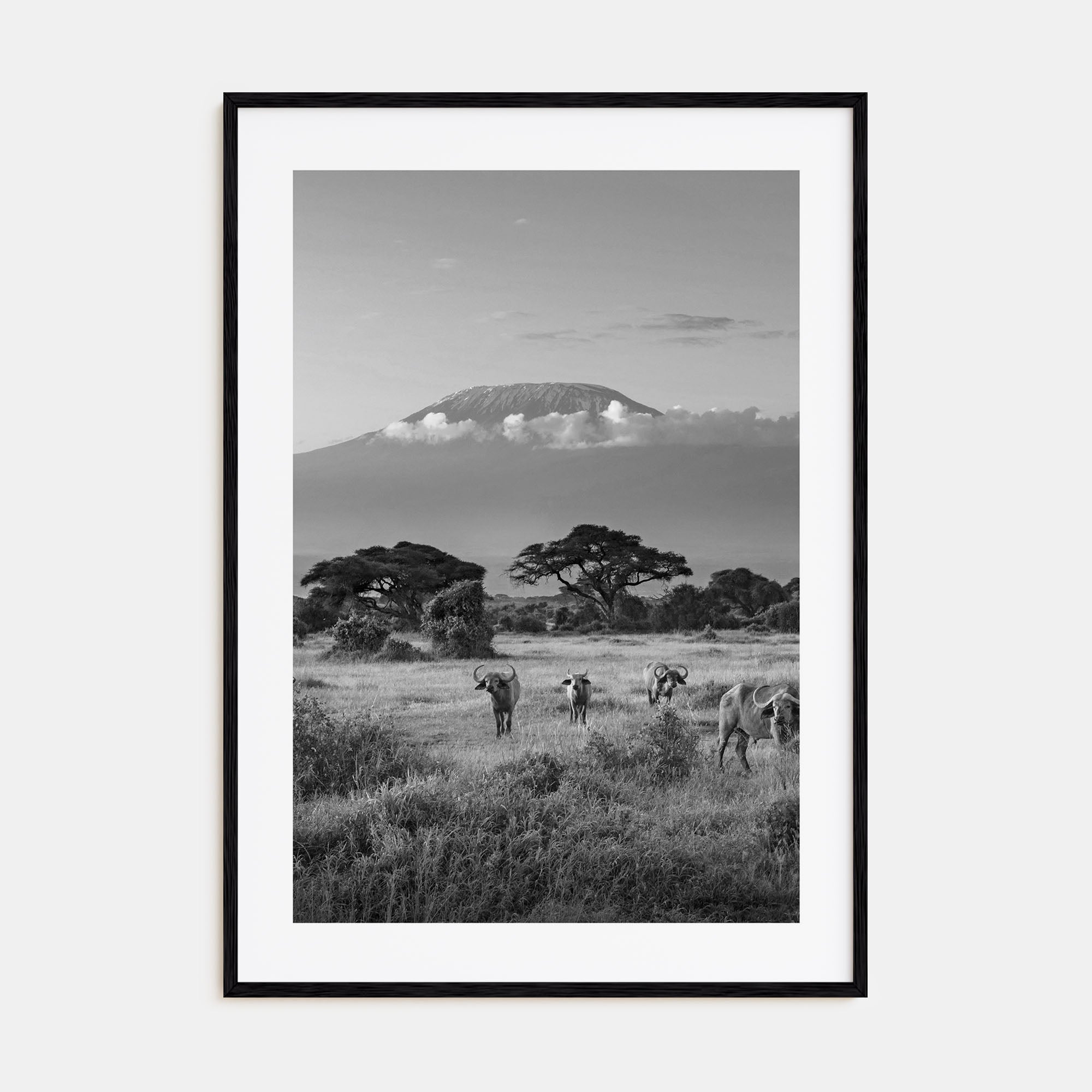 Kenya Photo B&W Poster