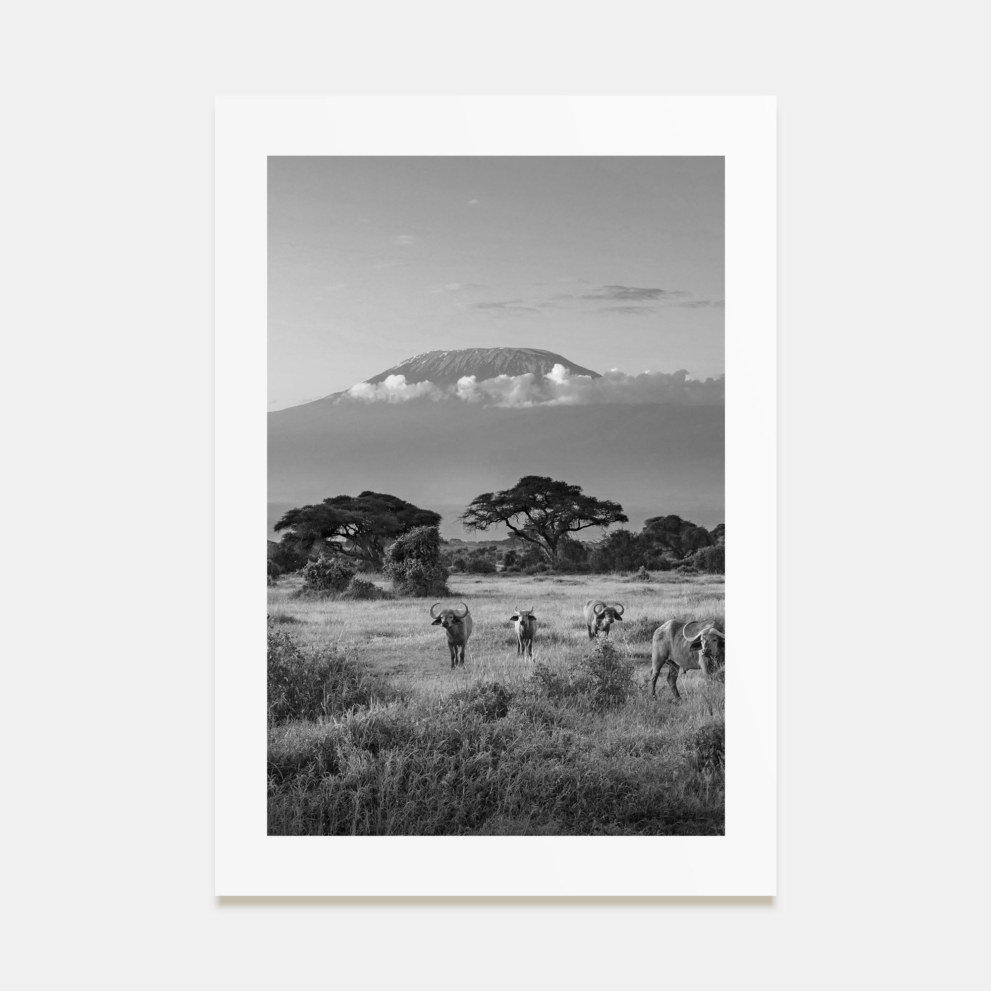 Kenya Photo B&W Poster