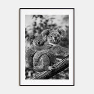 Koala Photo B&W No 1 Poster