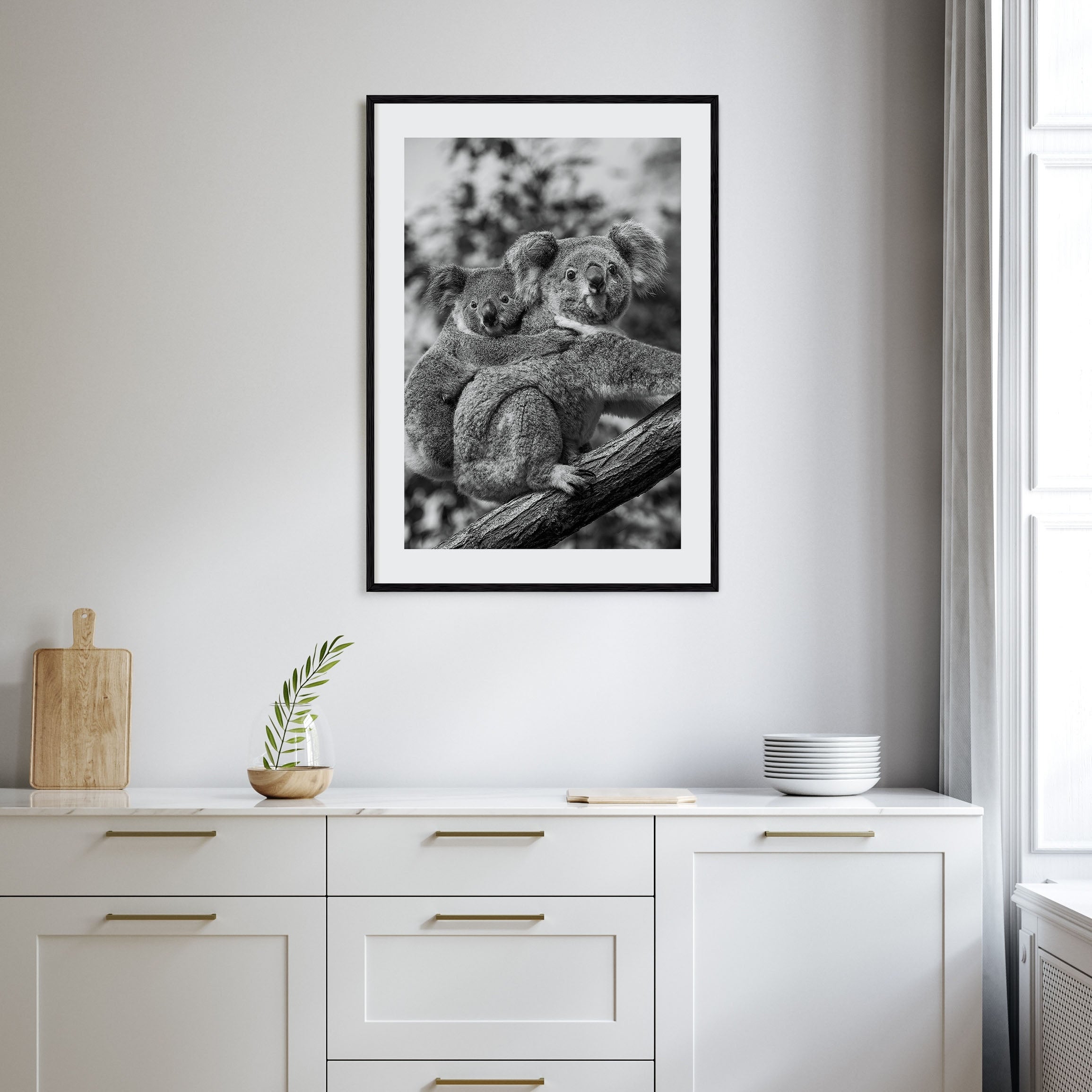 Koala Photo B&W No 1 Poster