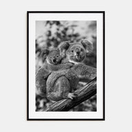 Koala Photo B&W No 1 Poster