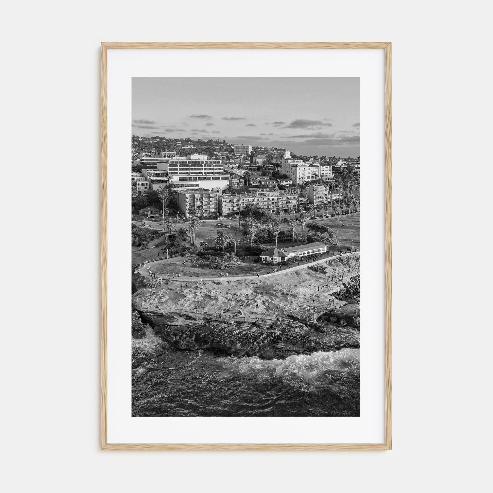 La Jolla Photo B&W No 1 Poster