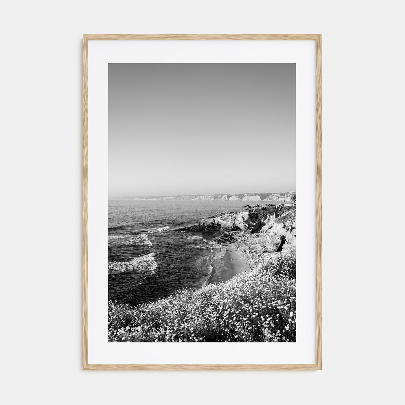 La Jolla Photo B&W No 2 Poster