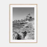 Laguna Beach Photo B&W No 1 Poster