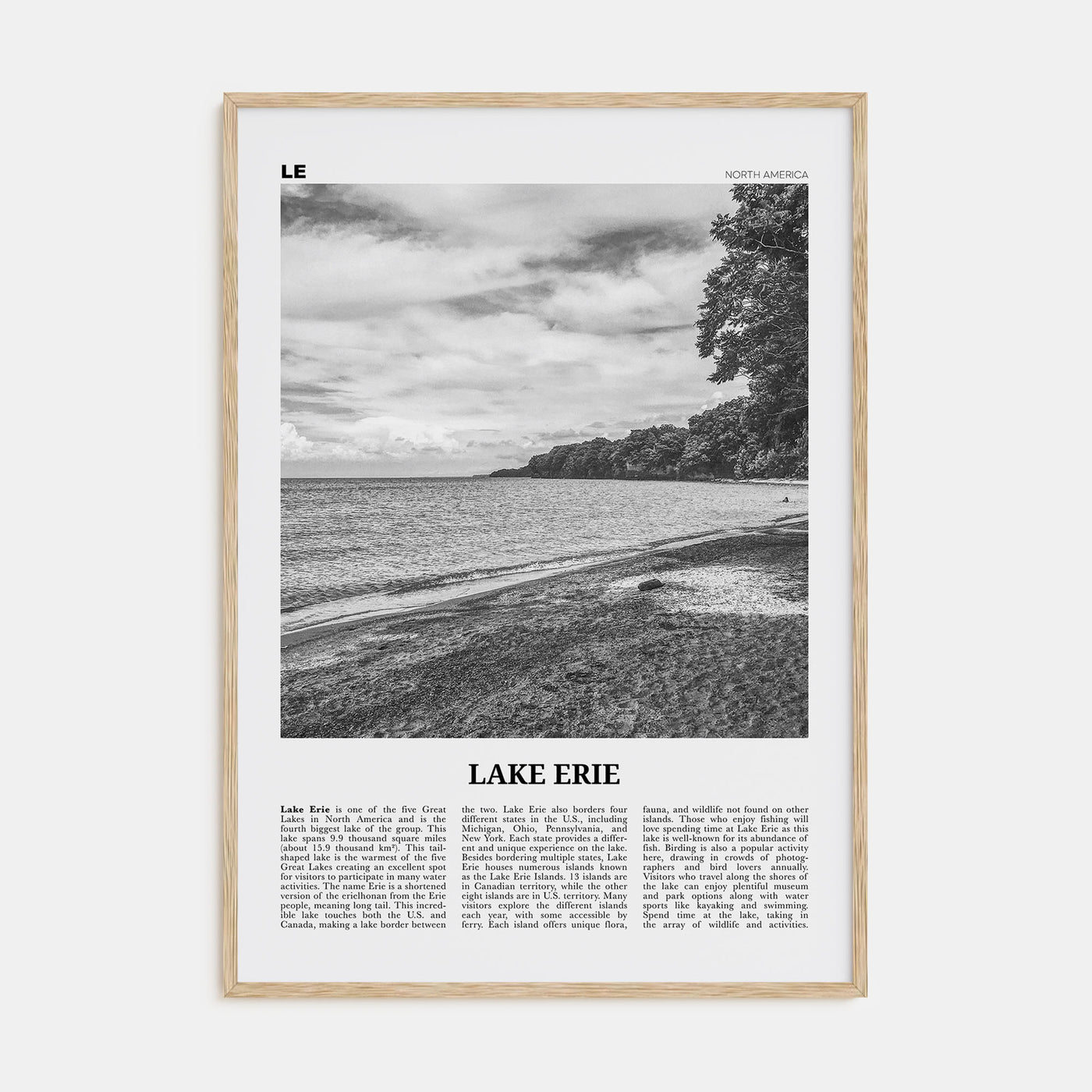 Lake Erie Travel B&W Poster