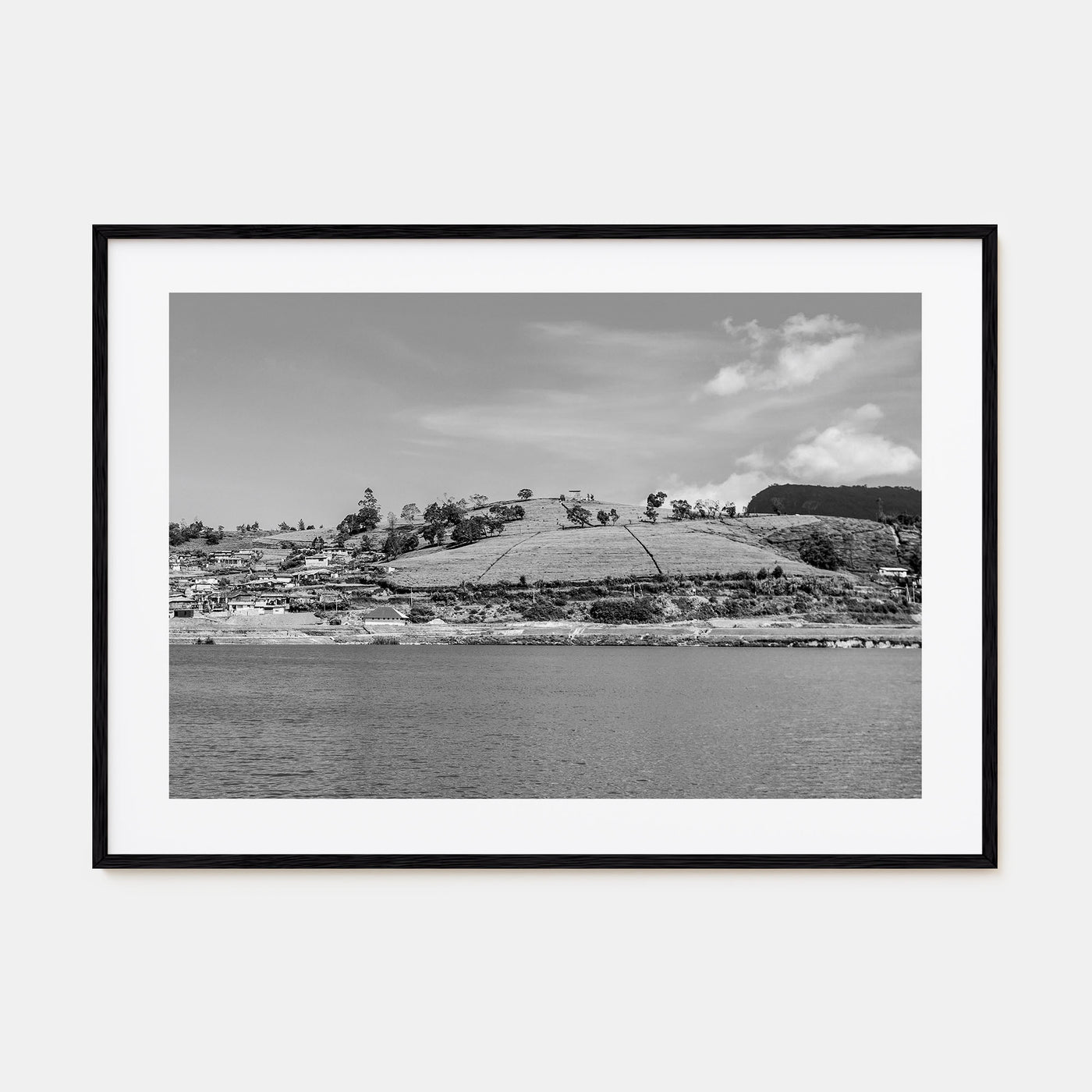 Lake Gregory Landscape B&W Poster