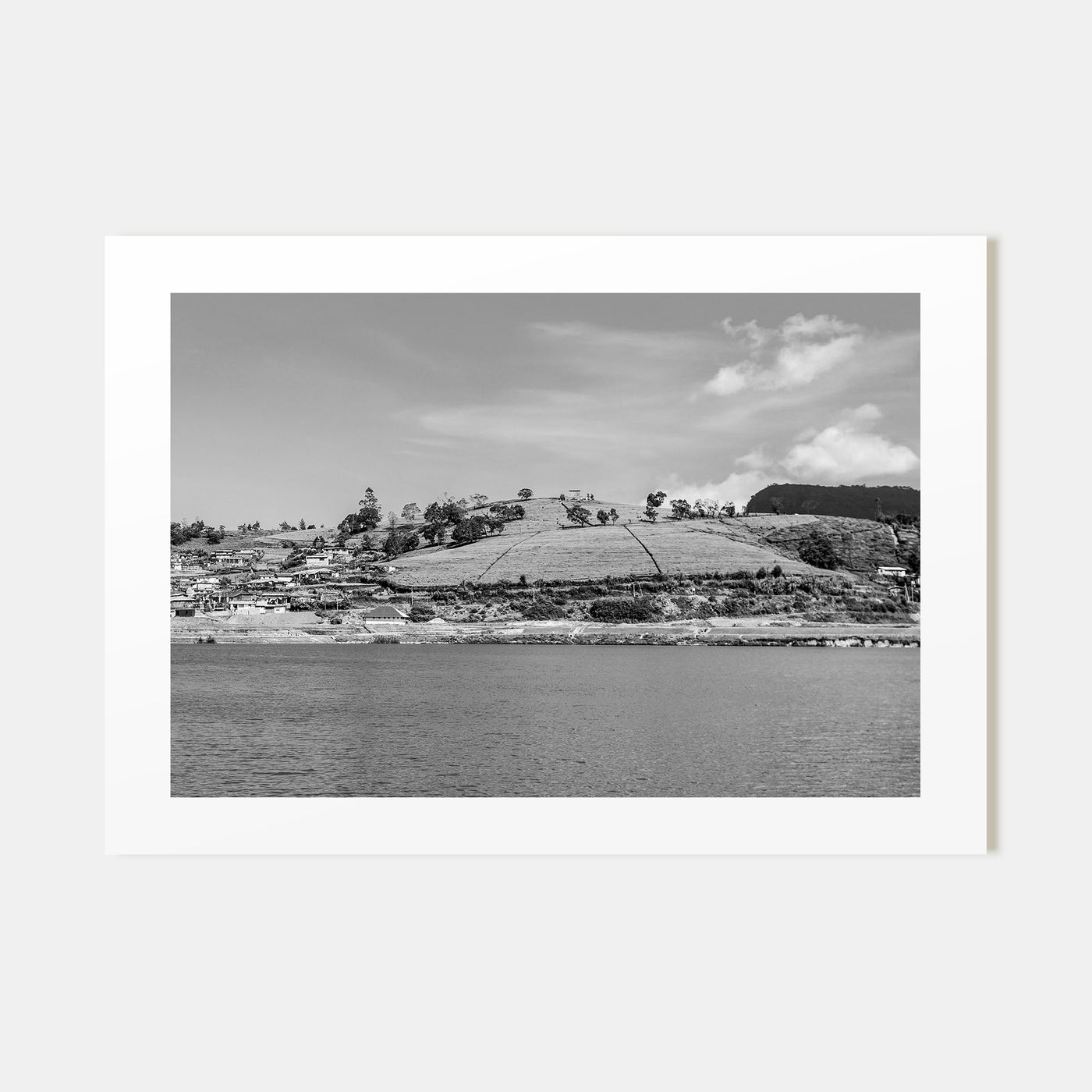 Lake Gregory Landscape B&W Poster