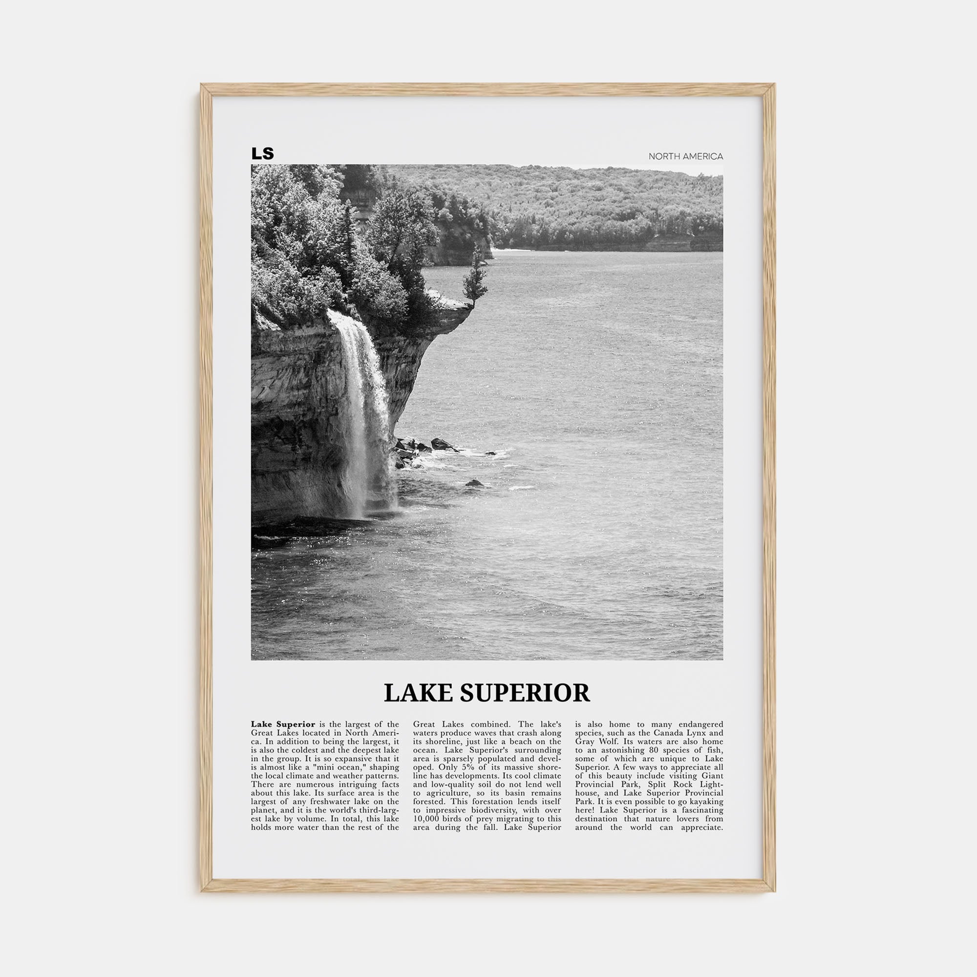 Lake Superior Travel B&W Poster