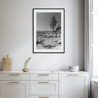 Lake Tahoe Photo B&W No 2 Poster
