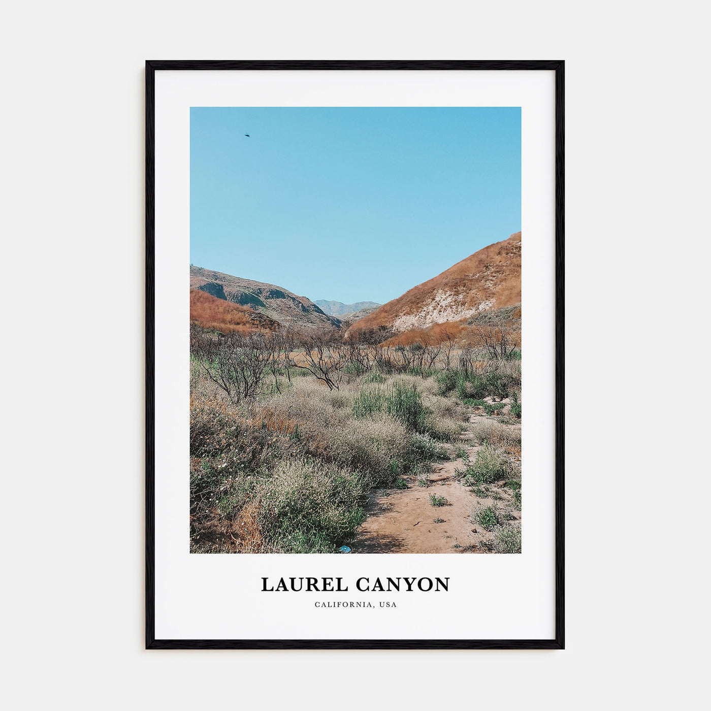 Laurel Canyon Portrait Color Poster