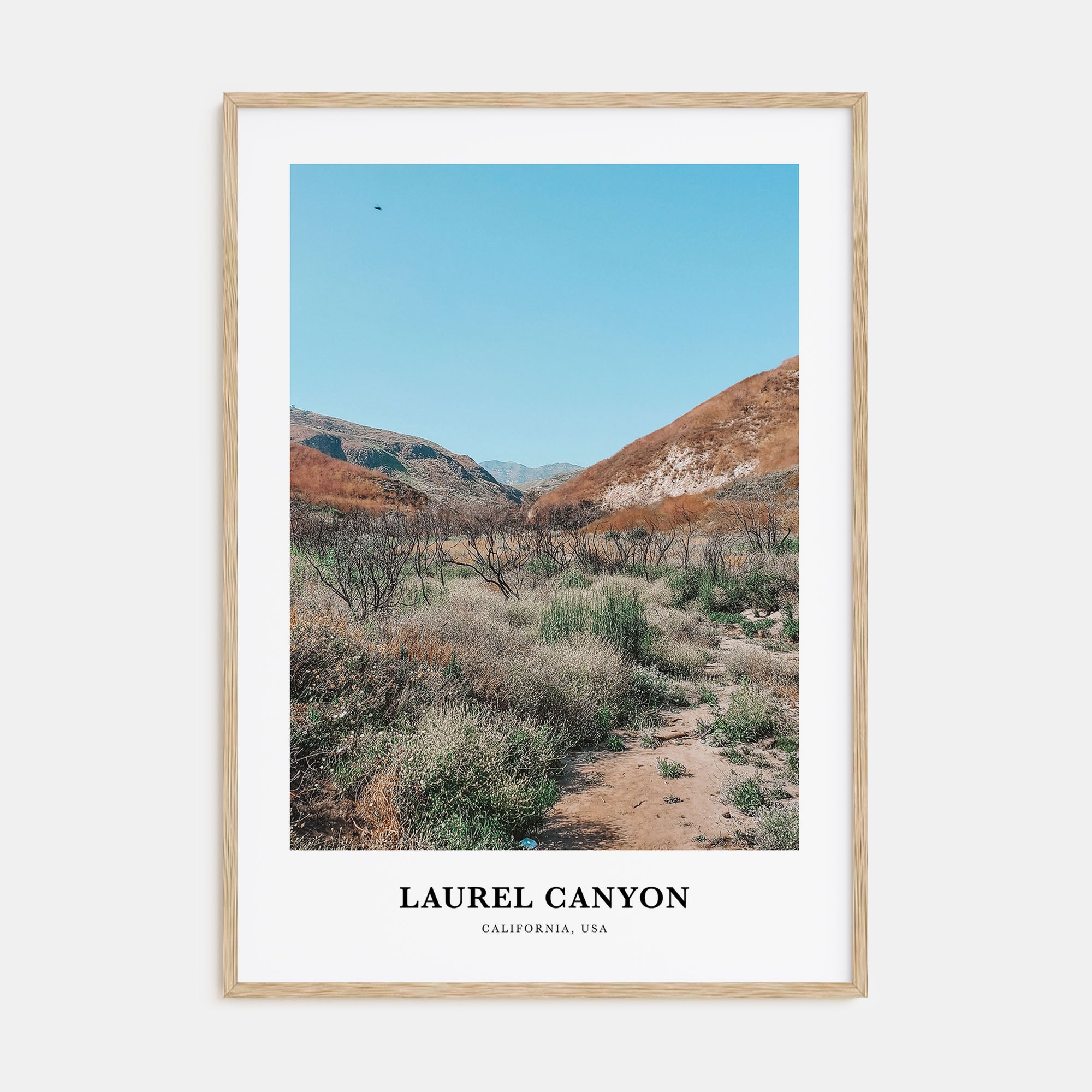 Laurel Canyon Portrait Color Poster