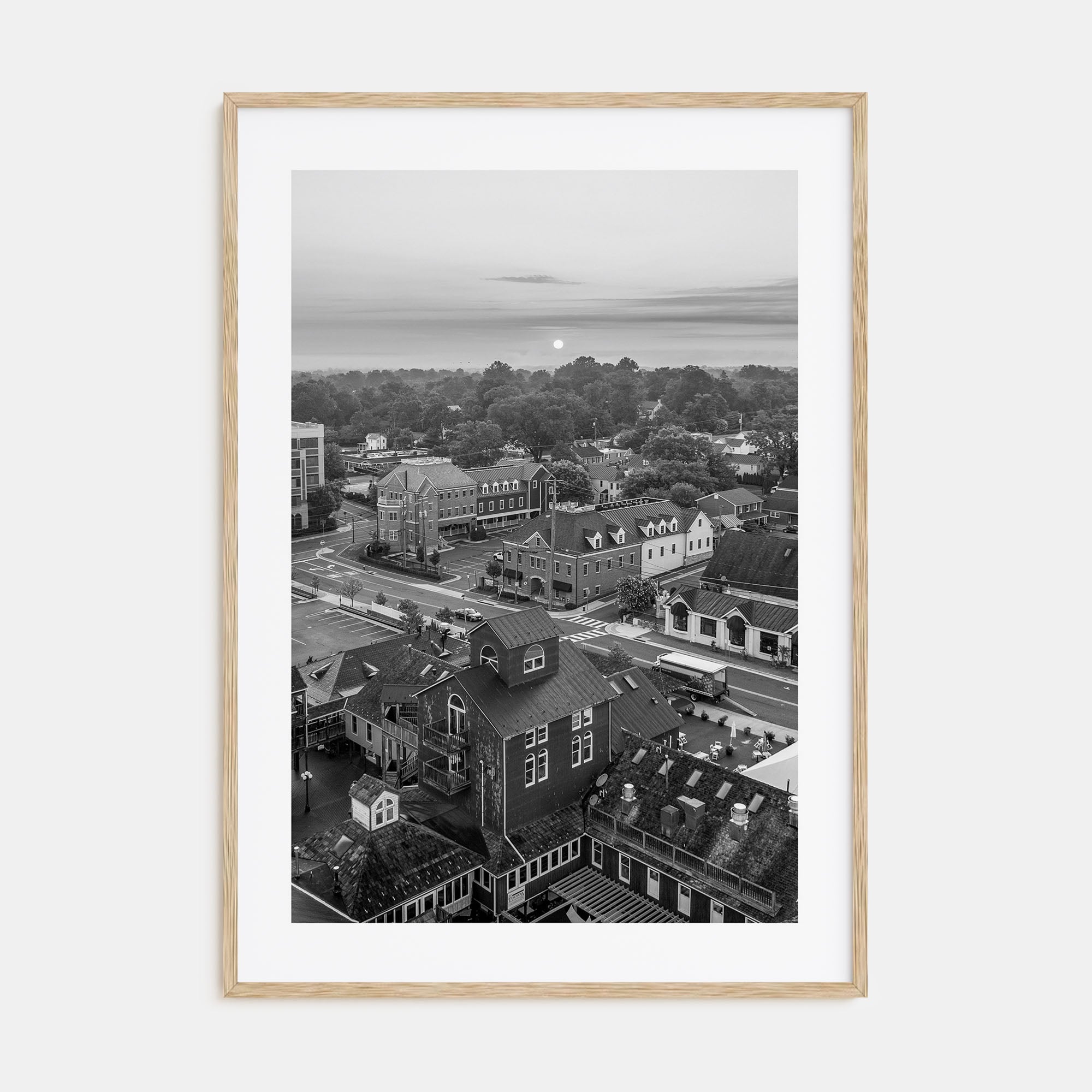 Leesburg Photo B&W Poster