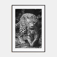 Leopard Photo B&W No 1 Poster