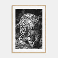 Leopard Photo B&W No 1 Poster