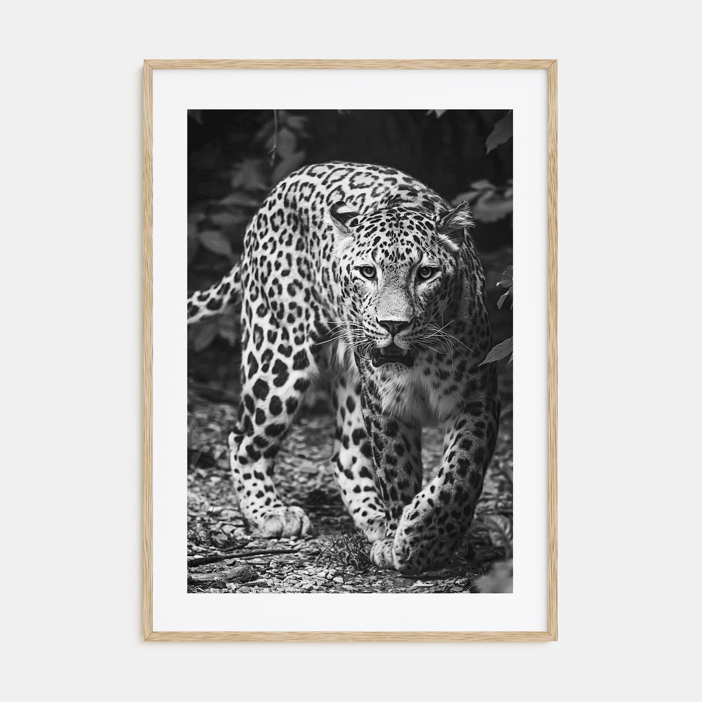 Leopard Photo B&W No 1 Poster