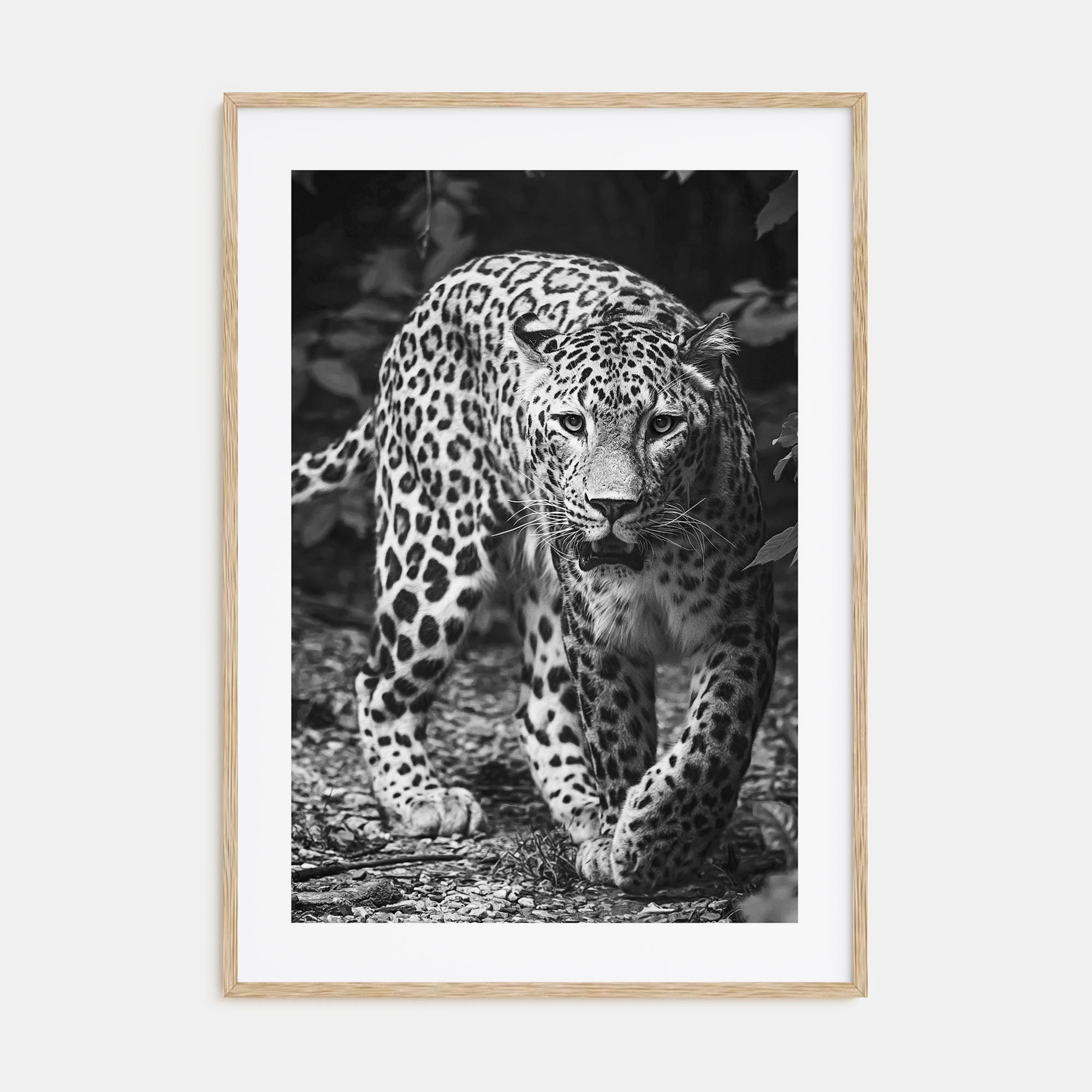Leopard Photo B&W No 1 Poster