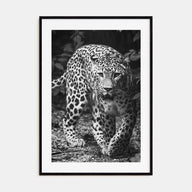Leopard Photo B&W No 1 Poster