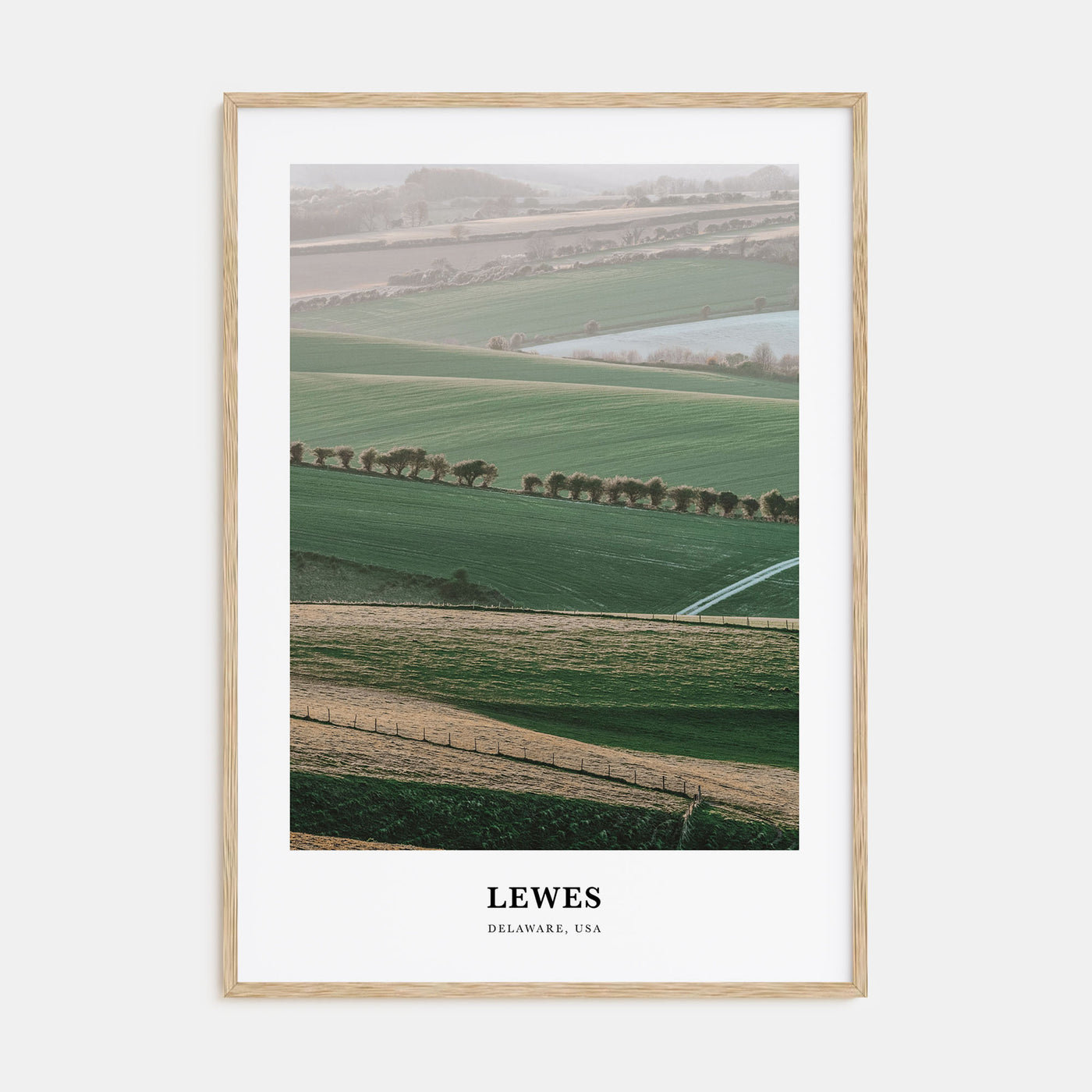 Lewes Portrait Color Poster
